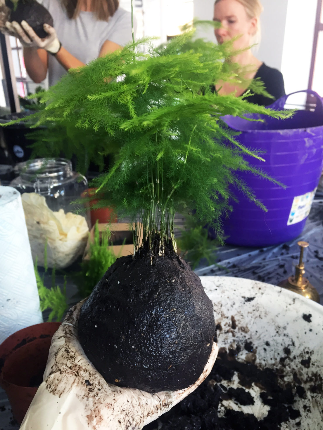 How To Make Kokedama Balls Japanese Moss Balls Chalk Moss