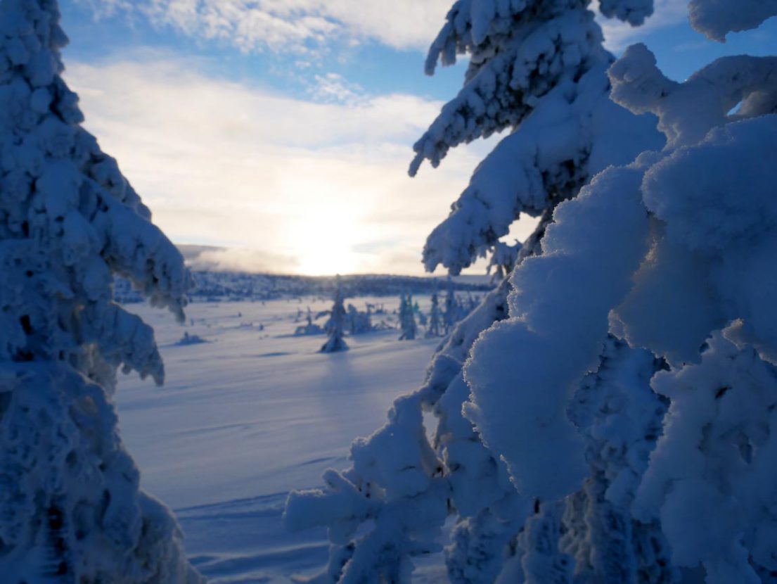 Experiencing Silence, Skiing & Cross-Country Skiing in Sweden - Sälen ...