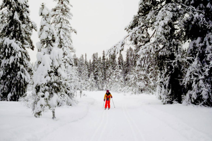 Full body workout for my daughter - Nordic skiing in Sälen, Sweden!