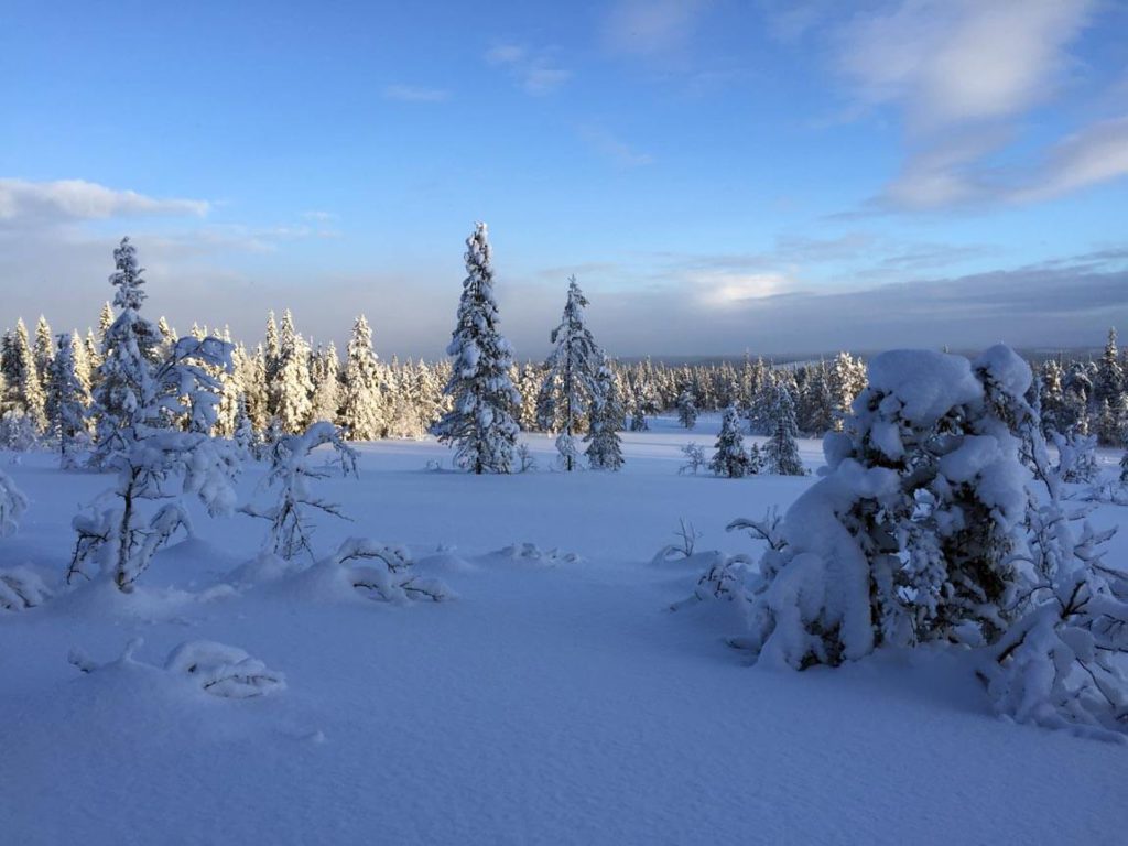 Experiencing Silence, Skiing & Cross-Country Skiing in Sweden - Sälen ...